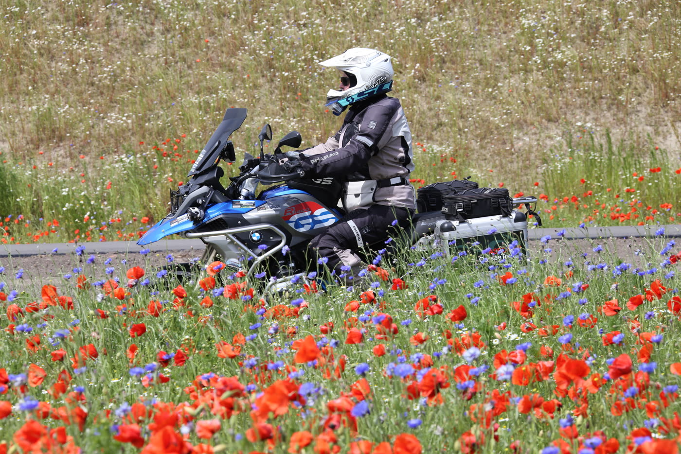 Motorrad fährt an einem blühenden Mohn- und Kornblumenstreifen entlang Motorrad fährt an einem blühenden Mohn- und Kornblumenstreifen entlang